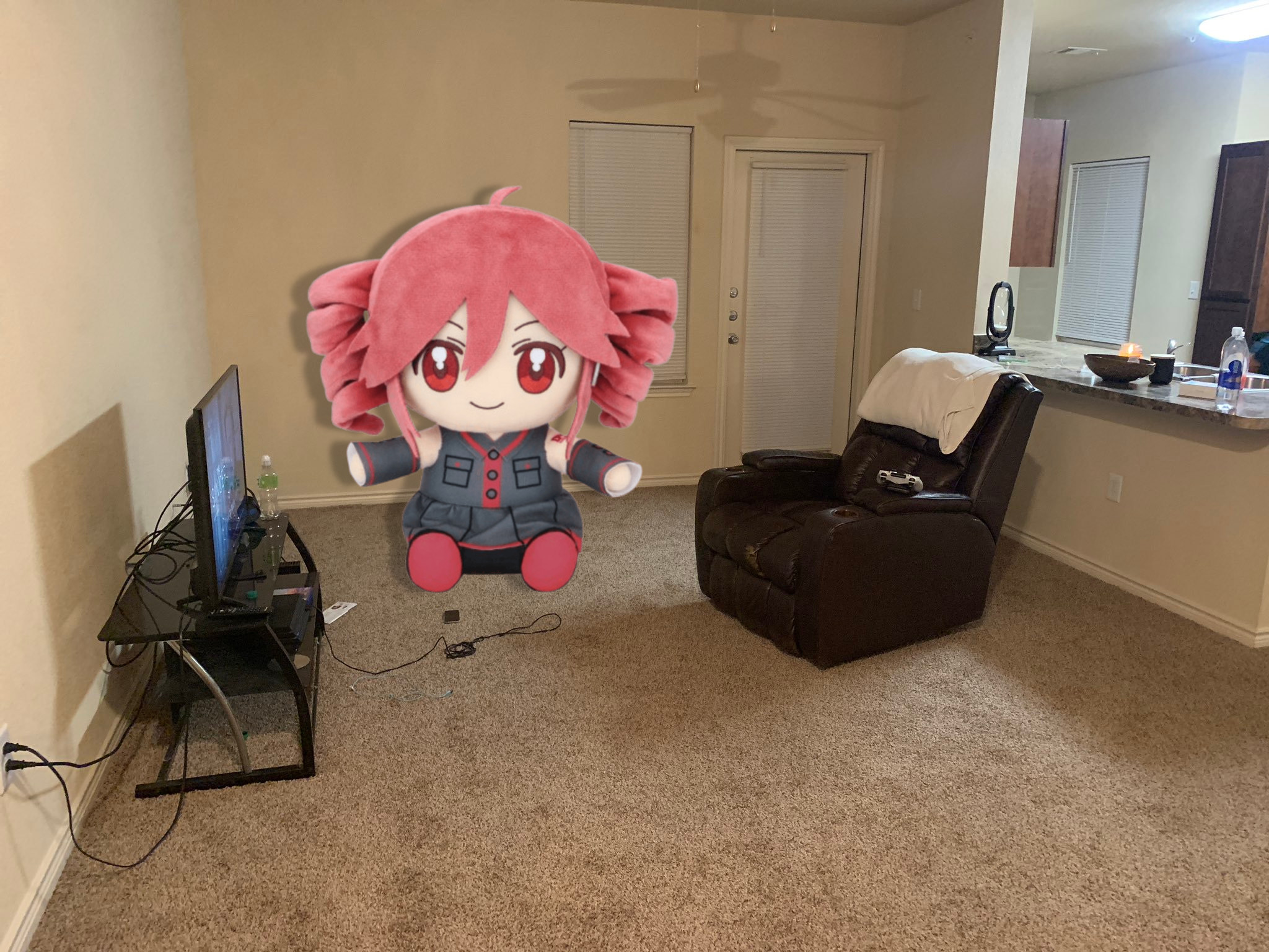 normal apartment and normal-size Teto plush